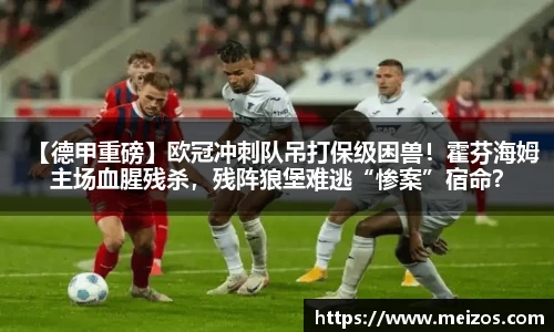 【德甲重磅】欧冠冲刺队吊打保级困兽！霍芬海姆主场血腥残杀，残阵狼堡难逃“惨案”宿命？