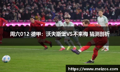 周六012 德甲：沃夫斯堡VS不来梅 猜测剖析